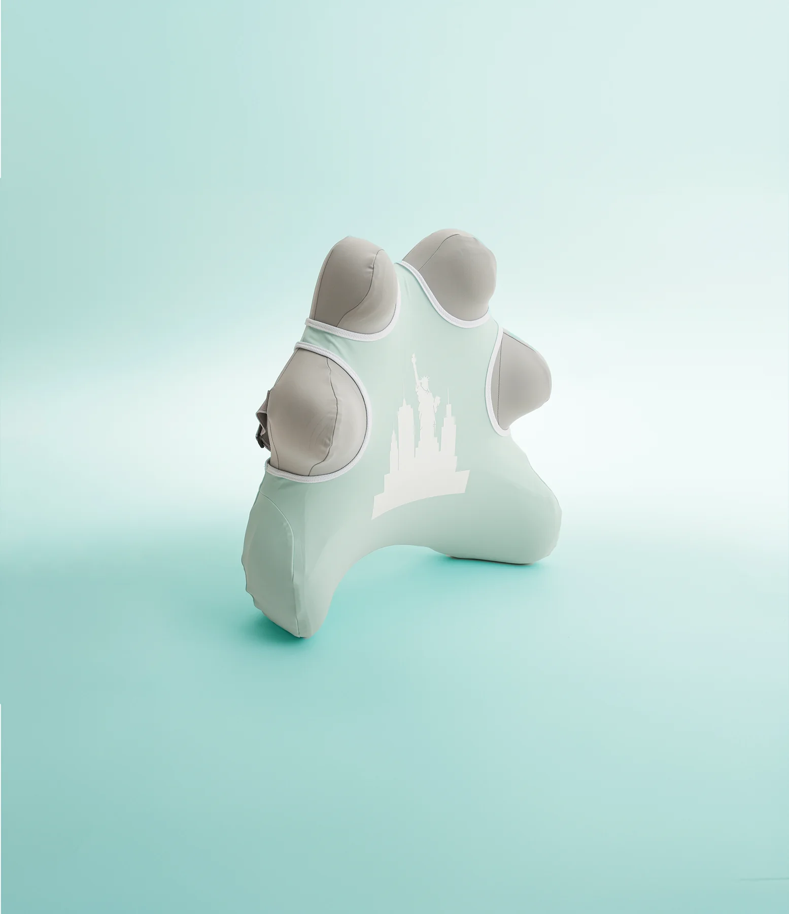 The back-support pillow.
