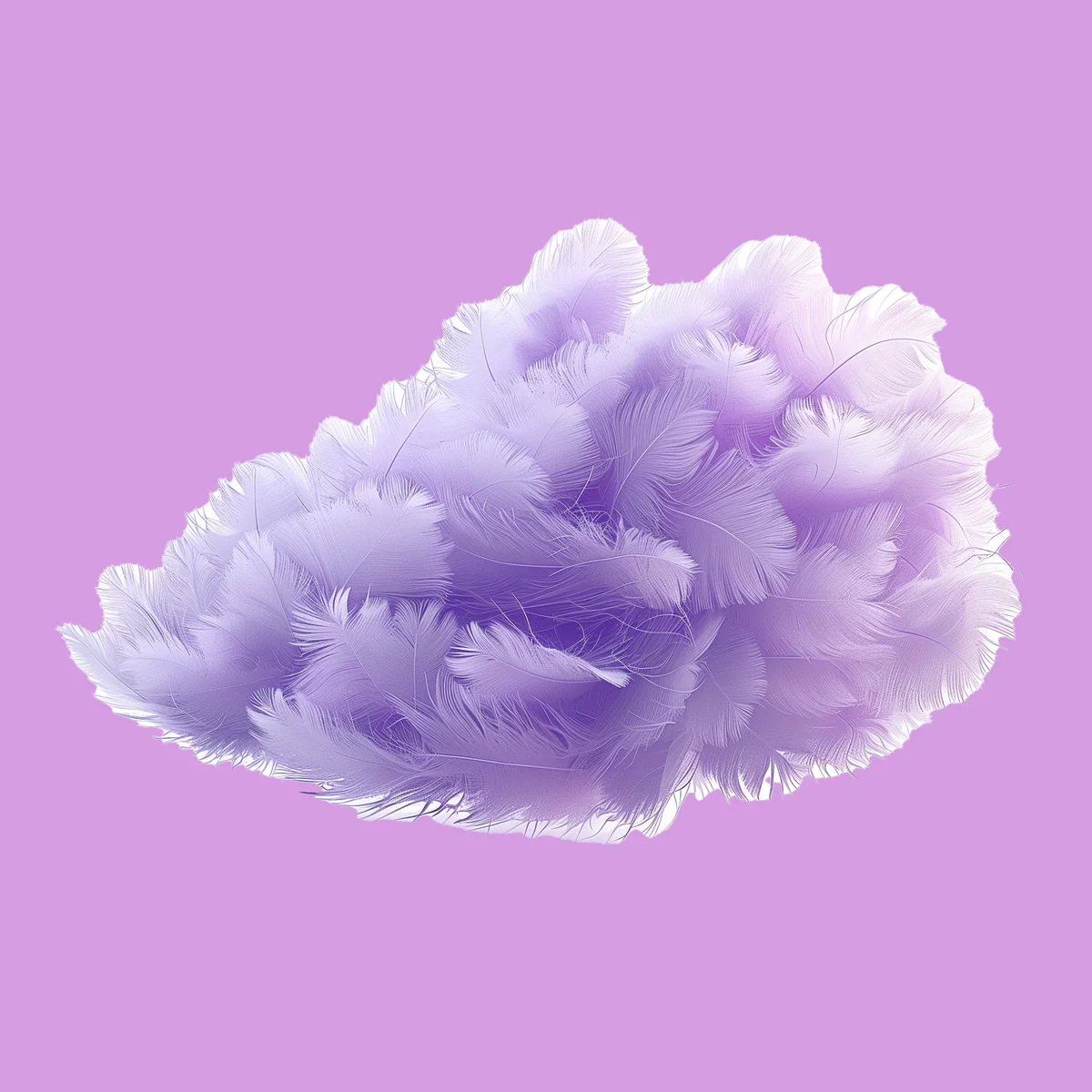 A cloud of feathers.