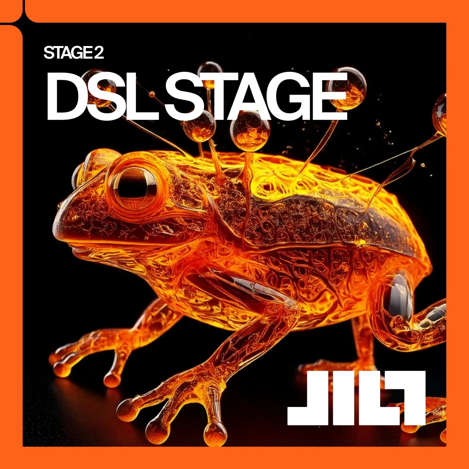 DSL Stage announcement design.
