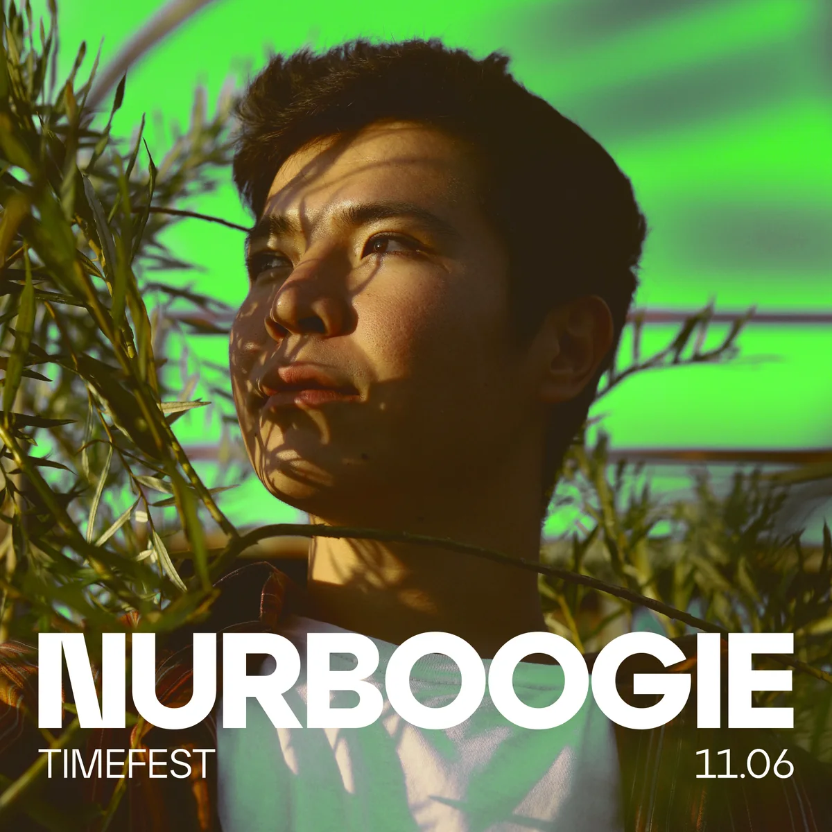 Карточка артиста: Nurboogie.